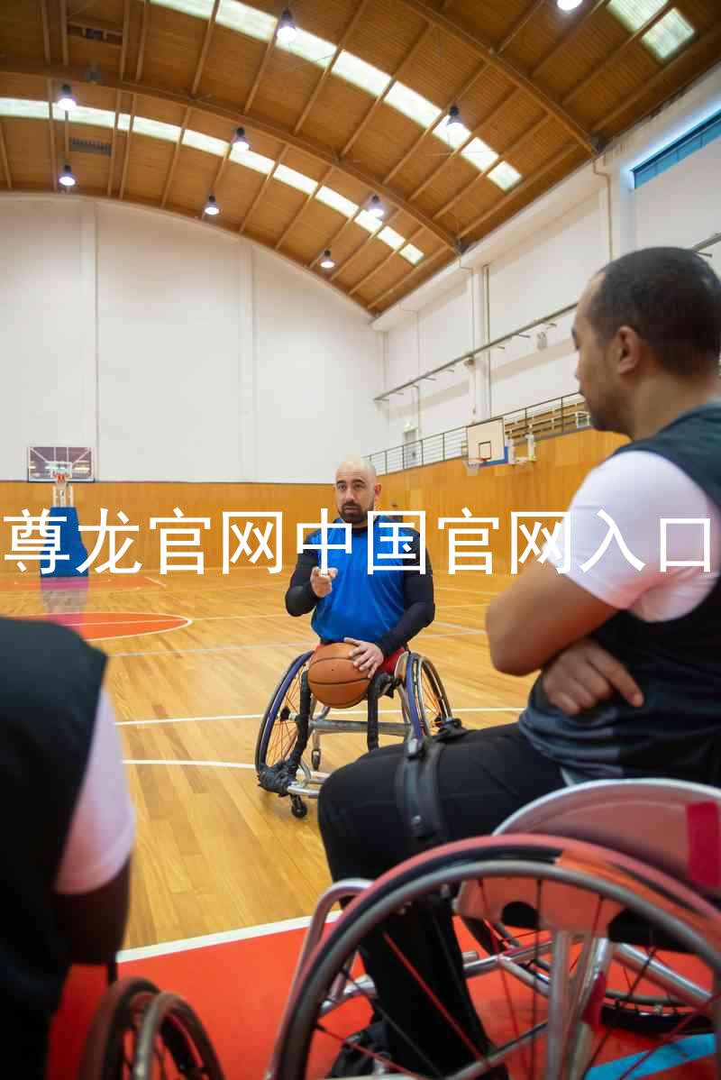 尊龙官网中国官网入口