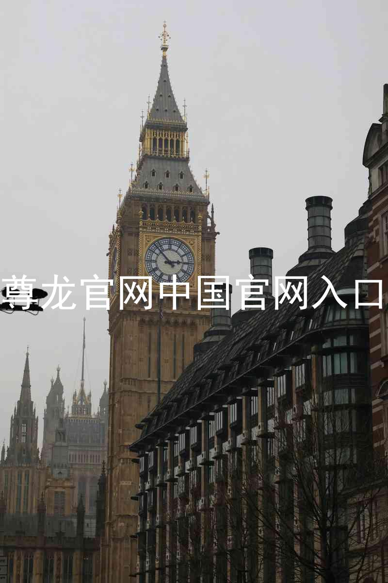 尊龙官网中国官网入口