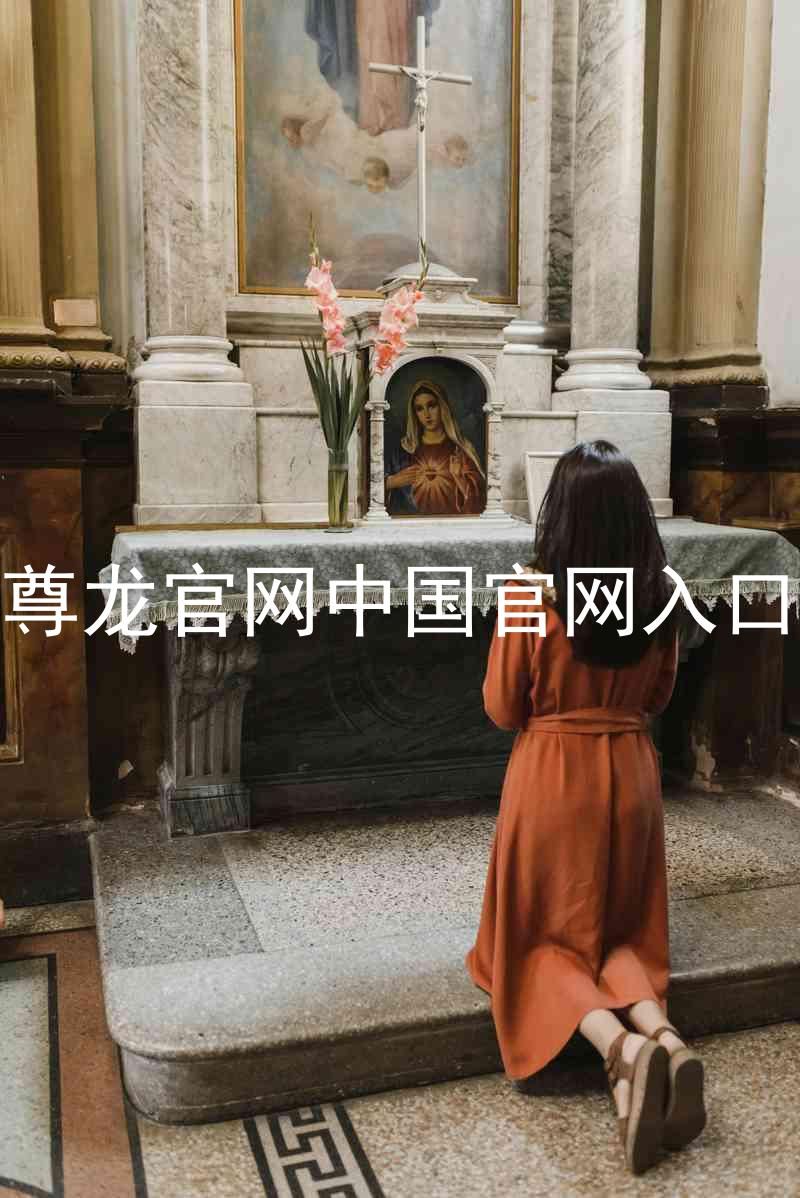 尊龙官网中国官网入口